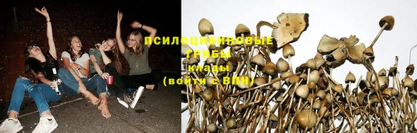 стафф Балабаново